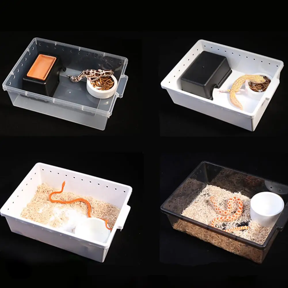 Для разведения рептилий коробка профессиональная рептилия инкубационная