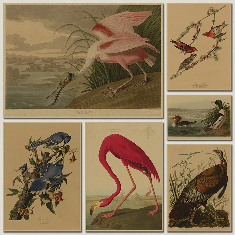 Audubon винтажный постер из крафт бумаги с цветами и птицами ручной росписи Декор