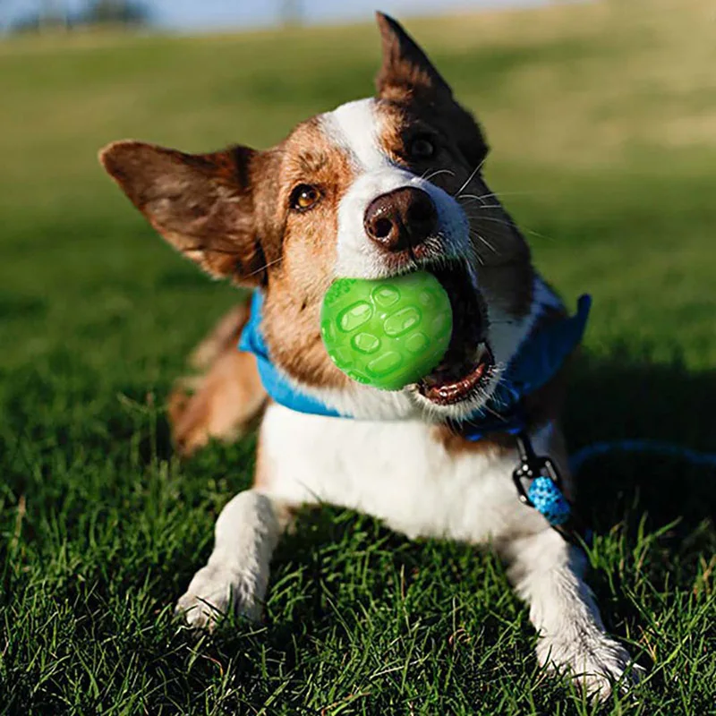 

1pcs Pet Dog Cat Puppy Sounding Toys Polka Squeaky Tooth Cleaning Balls Pet Teeth Chew Toy Pet Chewing Accessories Pet Products