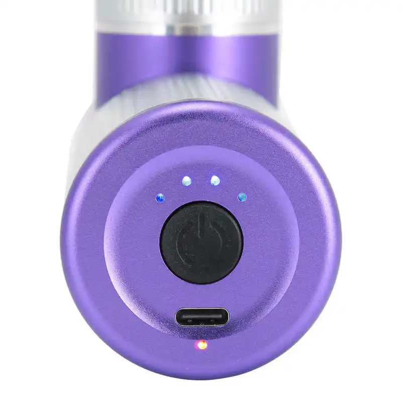 

USB Charging Electric Muscle Stimulator Gun Massager Body Relax Pain Relief Muscle Stimulator (Purple) Massage Instrument