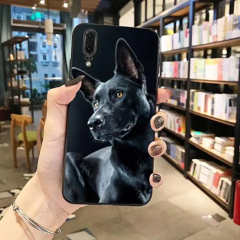 

Pit Bull Lovely Dog Pitbull animal Phone Case For Huawei honor Mate P 10 20 30 40 Pro 10i 9 10 20 8 x Lite