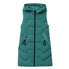 Дешевая оптовая продажа, новинка 2021, лидер продаж, жилет для женщин на осень и зиму, корейская мода, повседневная теплая Женская куртка, женский жилет