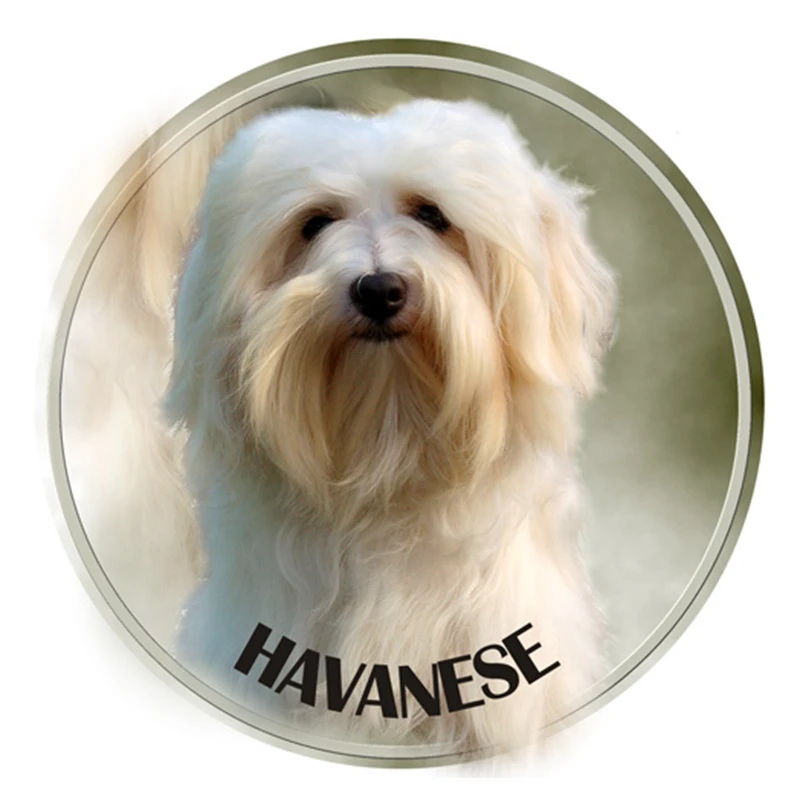 S40377 # различные размеры ПВХ наклейка Havanese собака животное Автомобильная для