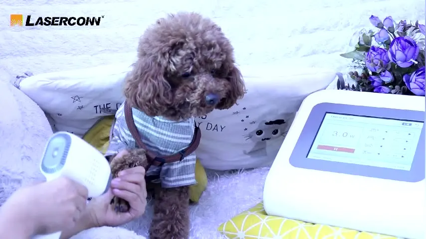 

2023 Hot sale 30W Class IV laser therapy device for pet pain dog pain relief
