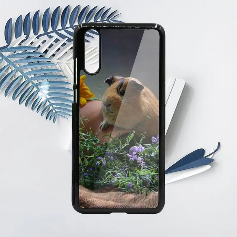 

Guinea Pig cute animal Phone Case PC For Samsung galaxy S note 8 9 20 10 e lite2019 plus pro ultra