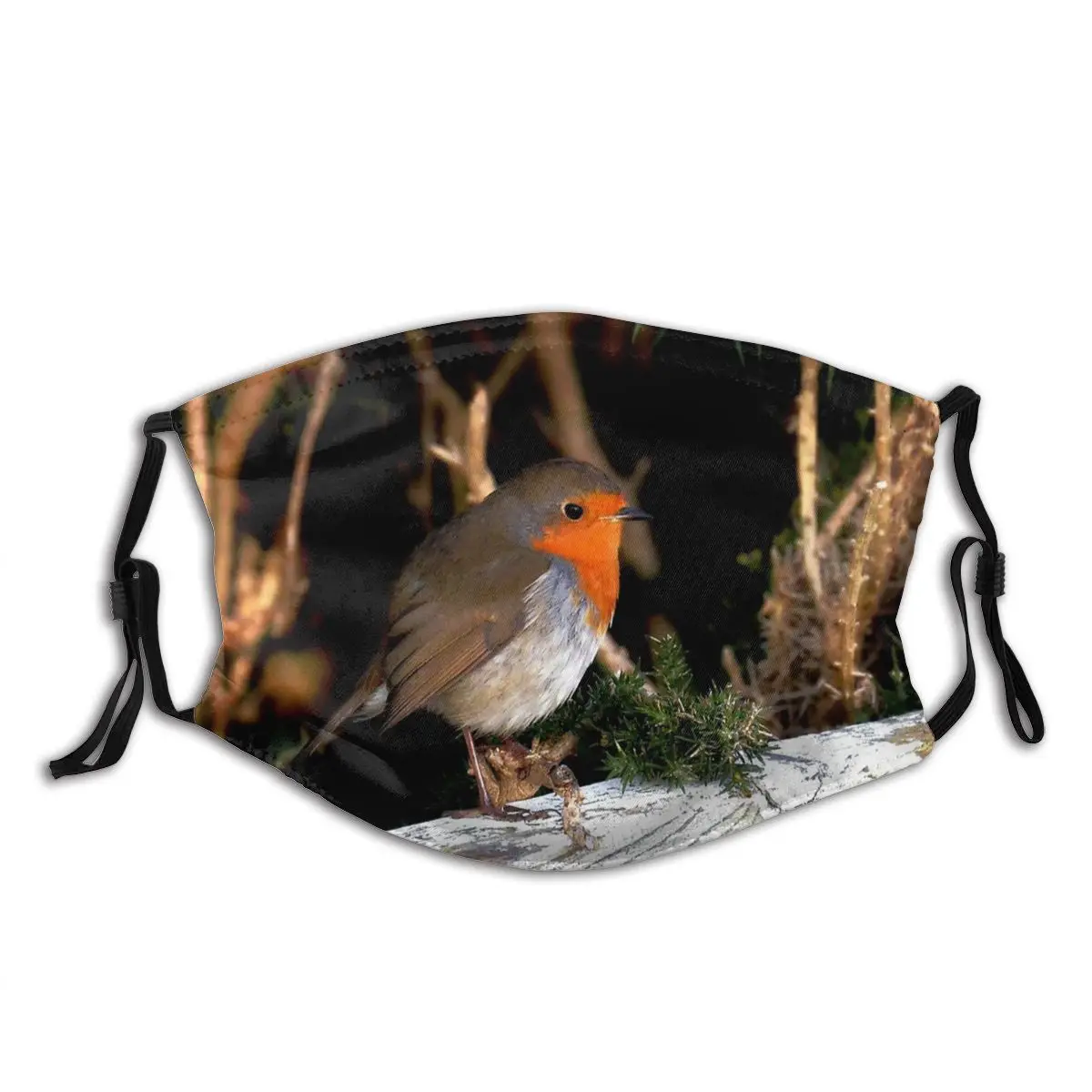 Небеса послали пушистый Робин птица английский моющиеся Мода рот маска для лица