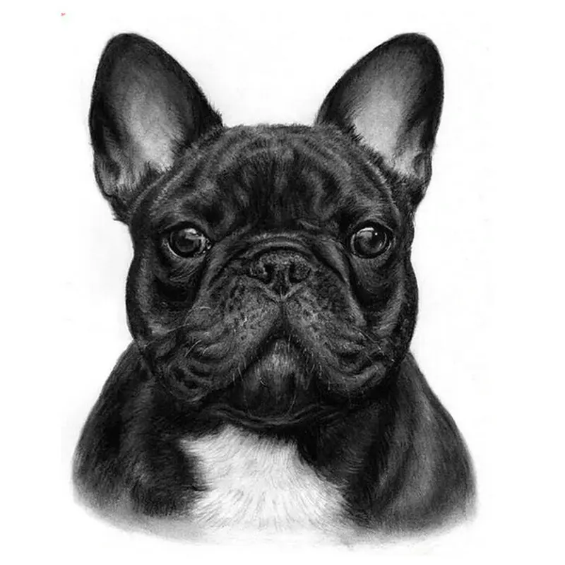 

5D алмазная живопись «сделай сам», черная собака AB, квадратная, круглая, животное, сверло, икона из смолы, ручная работа, патч, вышивка