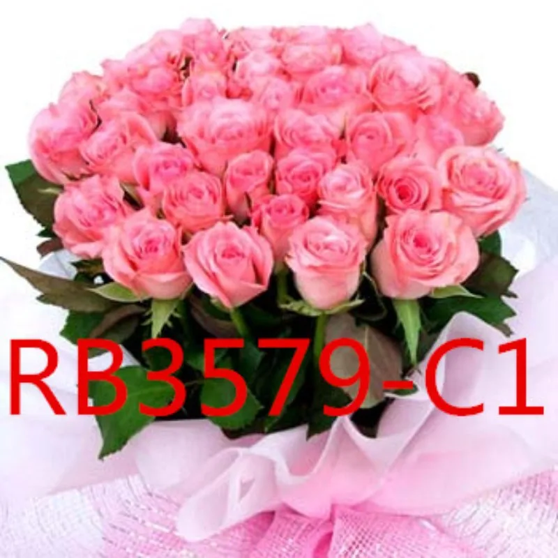 

RB3579