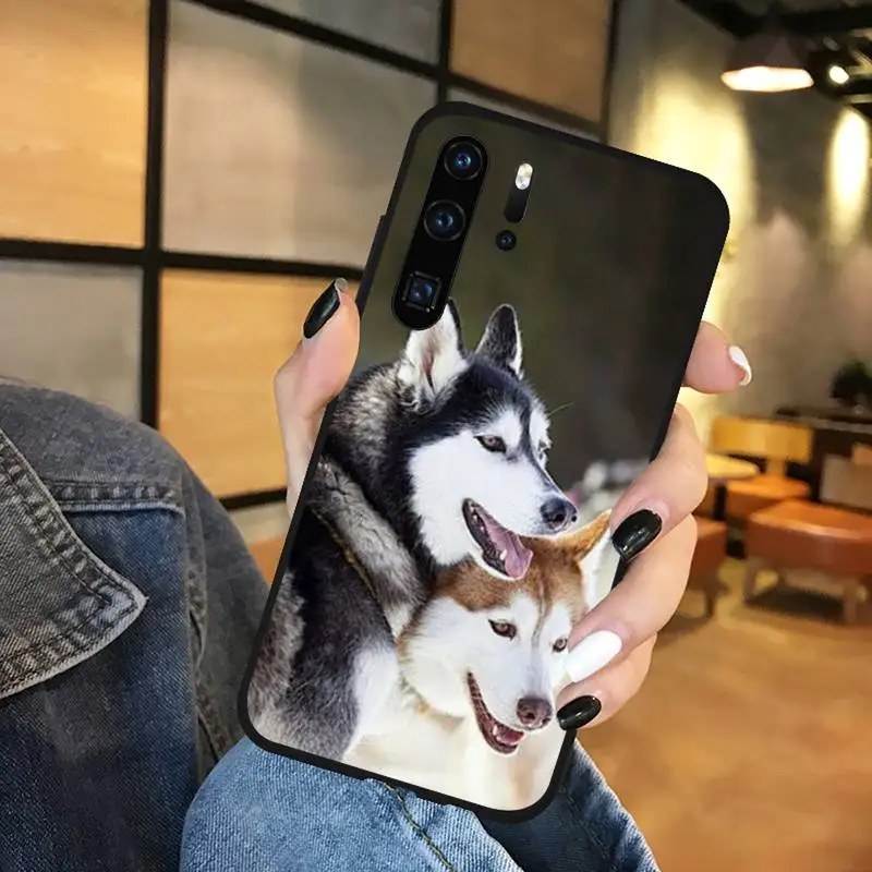 

Husky dog Colorful Cute Phone Case Funda For Huawei P9 P10 P20 P30 Lite 2016 2017 2019 plus pro P smart