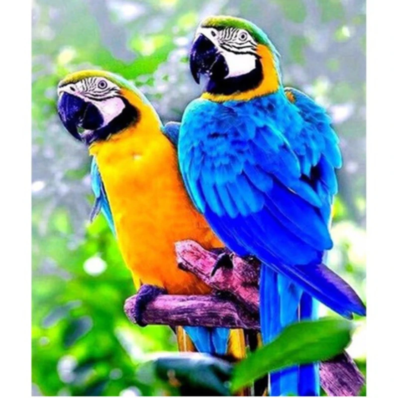 Алмазная 5D картина сделай сам вышивка крестиком два попугая полная круглая