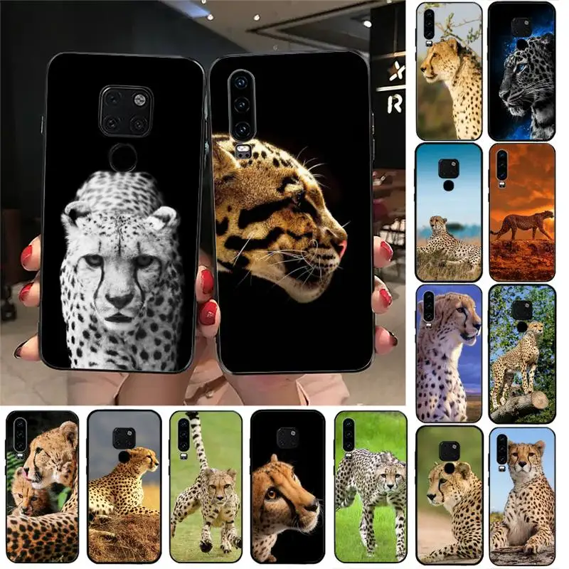 

cheetah Phone Case For Huawei Y6 7prime 9prime Y5 2019 Y5 Y6Prime 2018 Nova 3E mate10 20lite 20Pro funda case