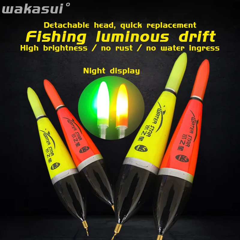 New 2Pcs/Lot Carp Fishing Floats Accessories Float Luminous Electric For Fishing In Summer Sea Striped-Bass Outdoor Tools