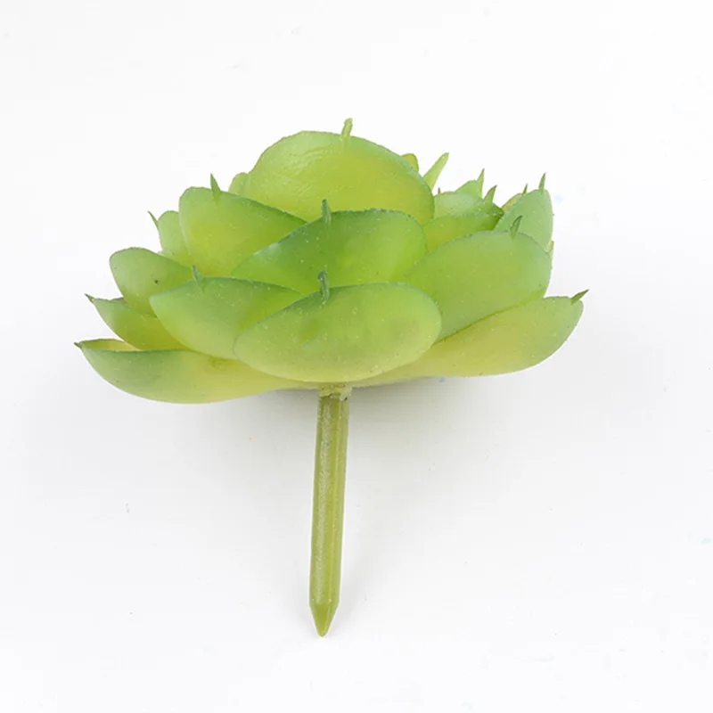 Имитация суккулентных растений-роза с круглым сердечником и суккулентами | Дом