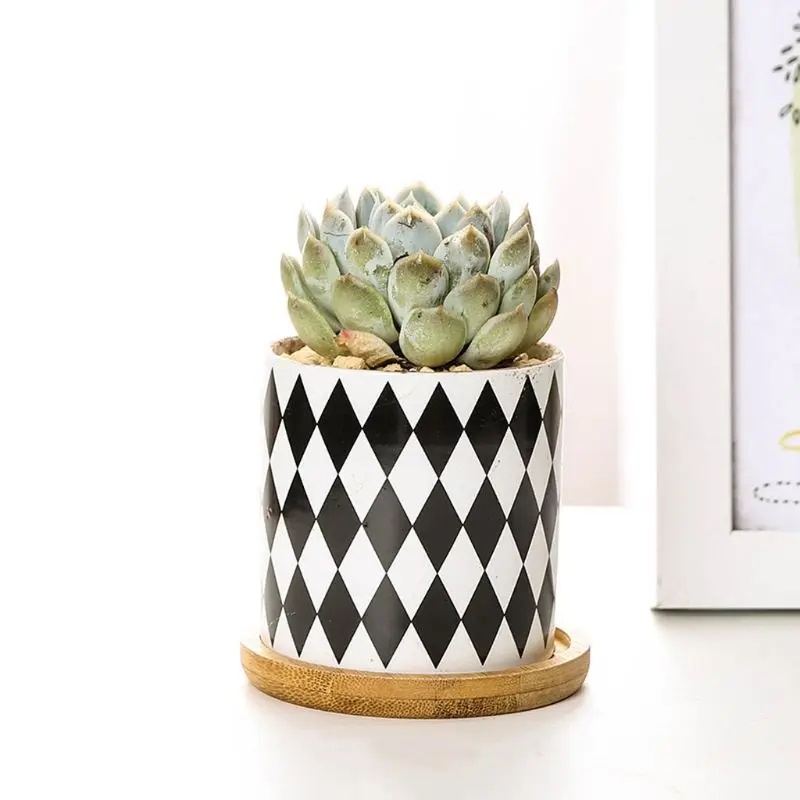 

Succulent Plant Pots, Cylindrical Ceramic Planter for c.ctus,Succulent Plant Dropshipping