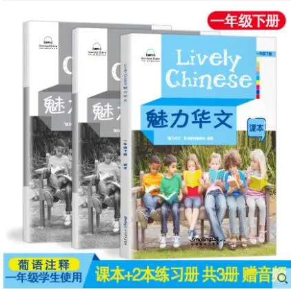 Charming Chinese grade one textbook + 2 exercise book foreigners learn Chinese language materials children's literature books