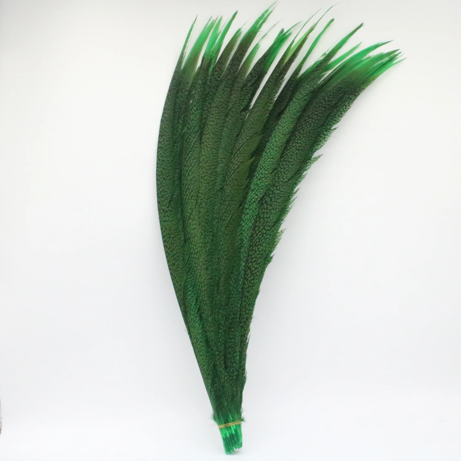 Wholesale 24-28inch/60-70cm Dyed Green Pheasant Tail Feathers Carnival Party DIY Decoration Lady Amherst Pheasant Feathers