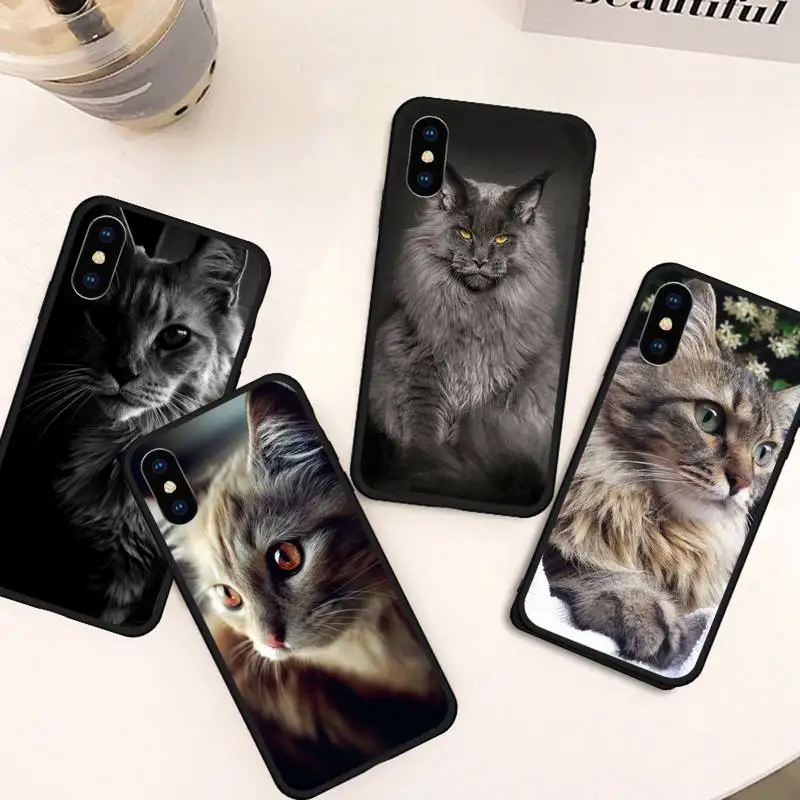 

pet maine coon cat cute Phone Case For iphone 12 11 13 7 8 6 s plus x xs xr pro max mini
