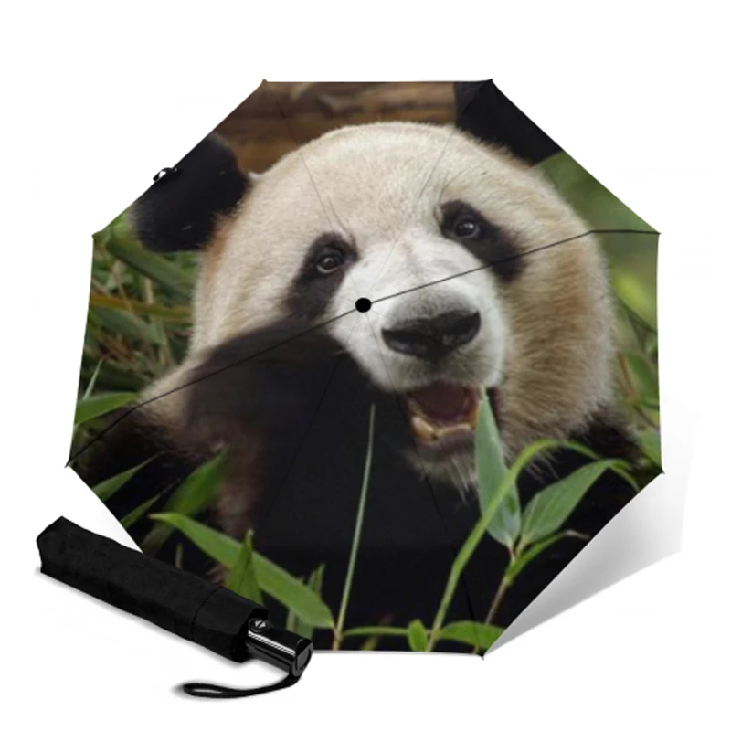 Зонт женский складной с защитой от дождя и ультрафиолета|Зонтики| |