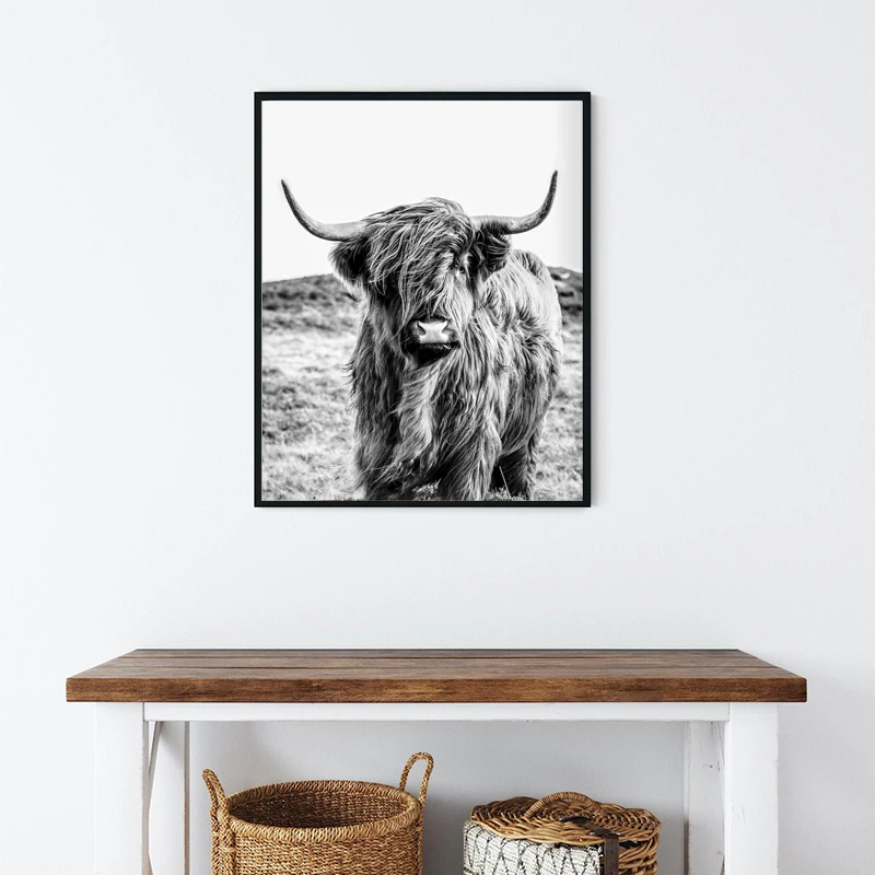 Животноводческая ферма Highland корова фотографии Wall Art Холст Картина Плакаты принты