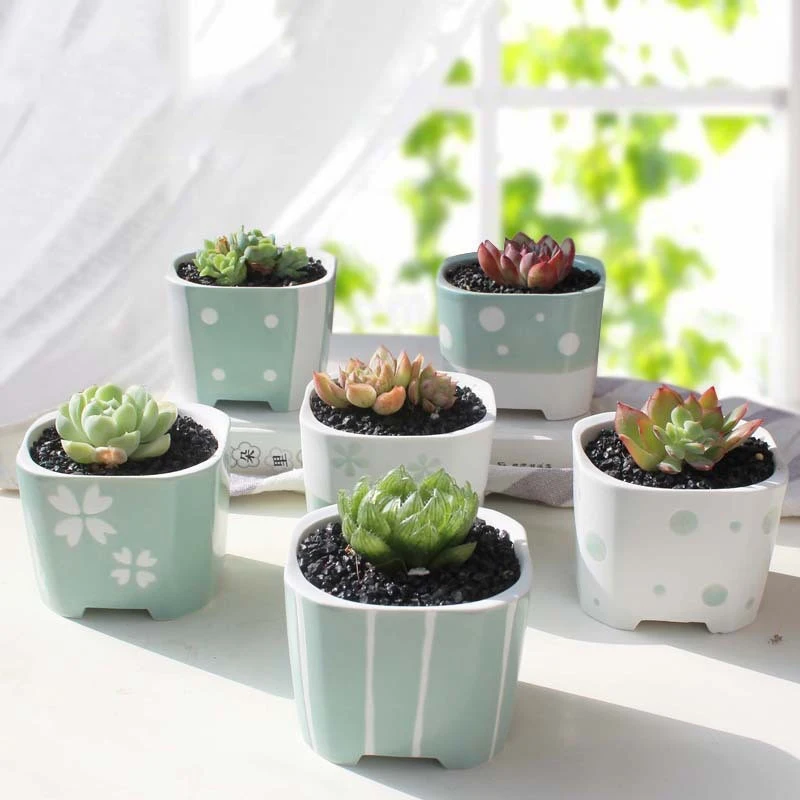 Creative Ceramic Succulent Plants Pot Simple Mini Flowerpot Garden Supplies Planter Home Office Desktop Decor