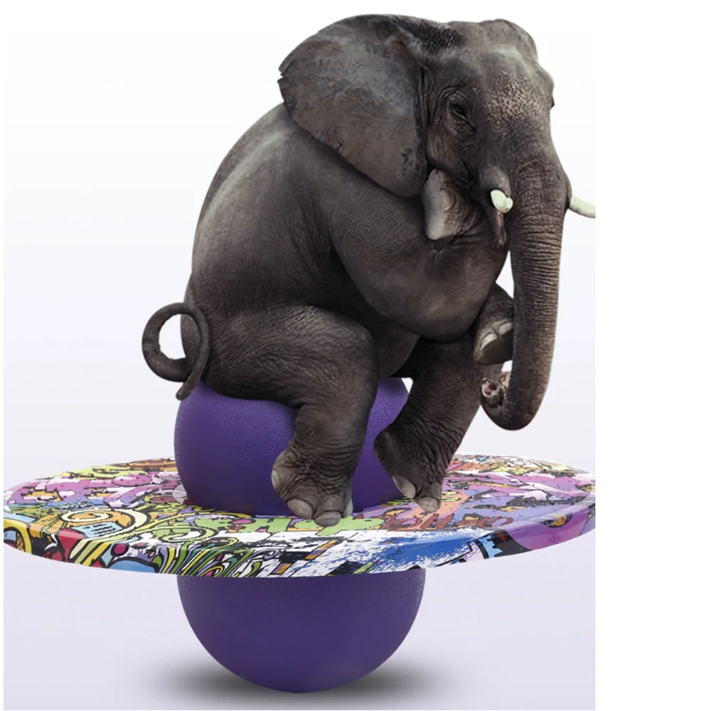 

Fitness & Body Building