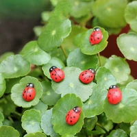 5ps mini cabochon ladybug fairy garden miniatures garden ornament decoration micro landscape bonsai figurine resin crafts