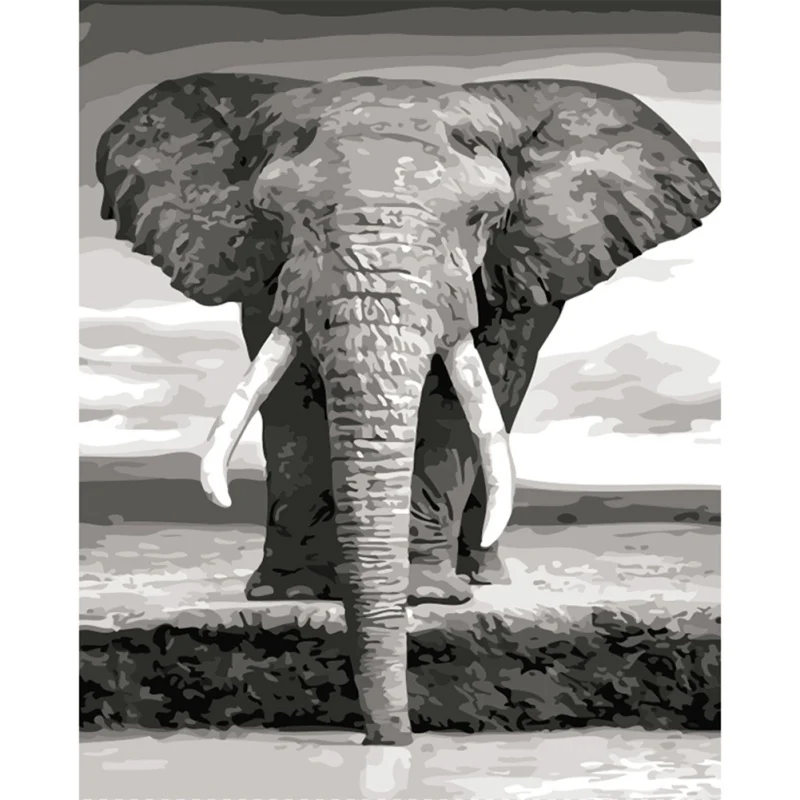 DIY масляная краска для рисования слон по номерам наборы взрослых детей