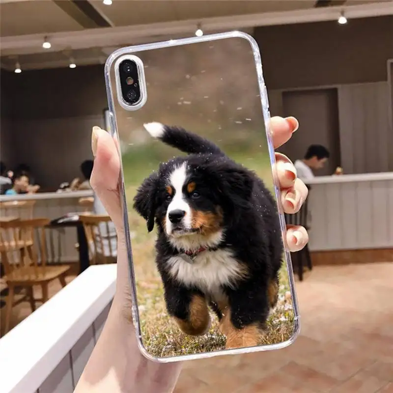 

Bernese Mountain Dog Phone Case Transparent soft For iphone 5 5s 5c se 6 6s 7 8 11 12 plus mini x xs xr pro max