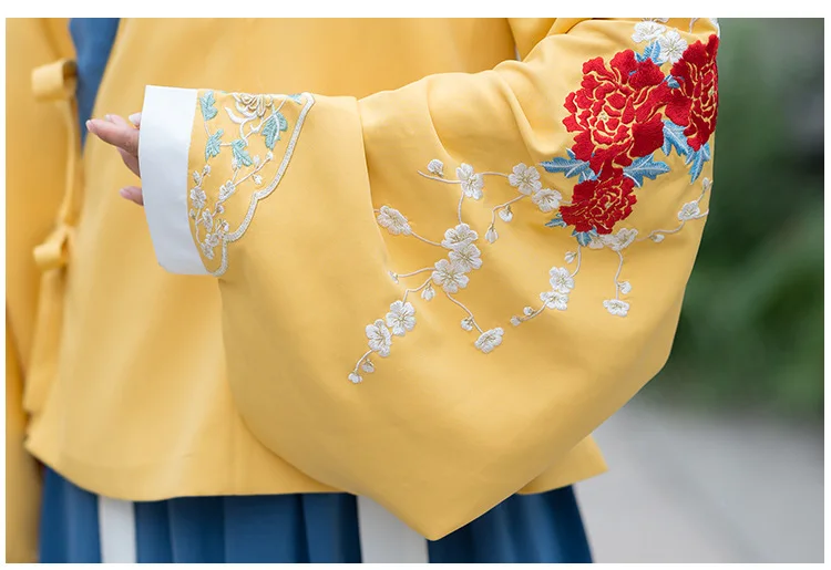 Традиционный танцевальный костюм с вышивкой Hanfu, женское платье феи, народный фестиваль, наряд певцов, Восточное представление, одежда DC3160