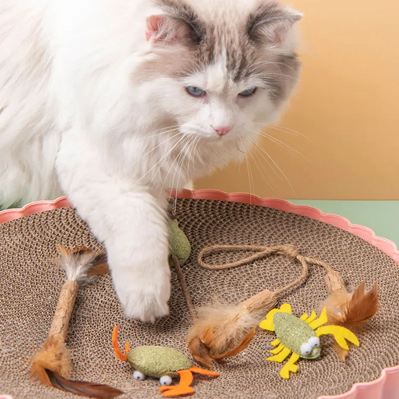

Catnip Toy For Cleaning Teeth Fun Plush Doll Toy Interactive Cat Toy Pet Kitten Chew Toy Catnip Pet Throwing Toy Dropshipping