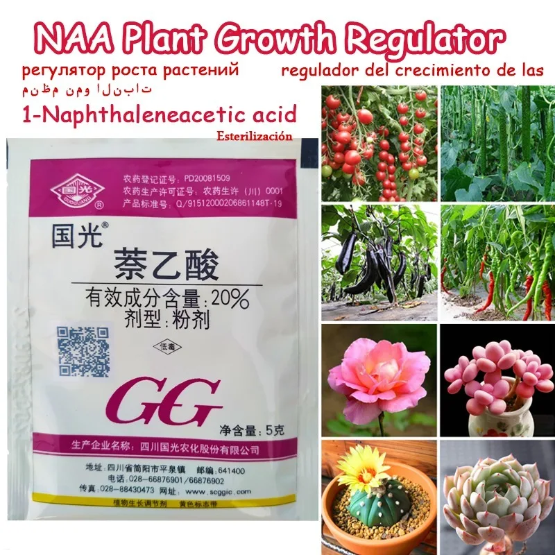 Цветок бонсая мощная планплантация раньше способствует росту растений