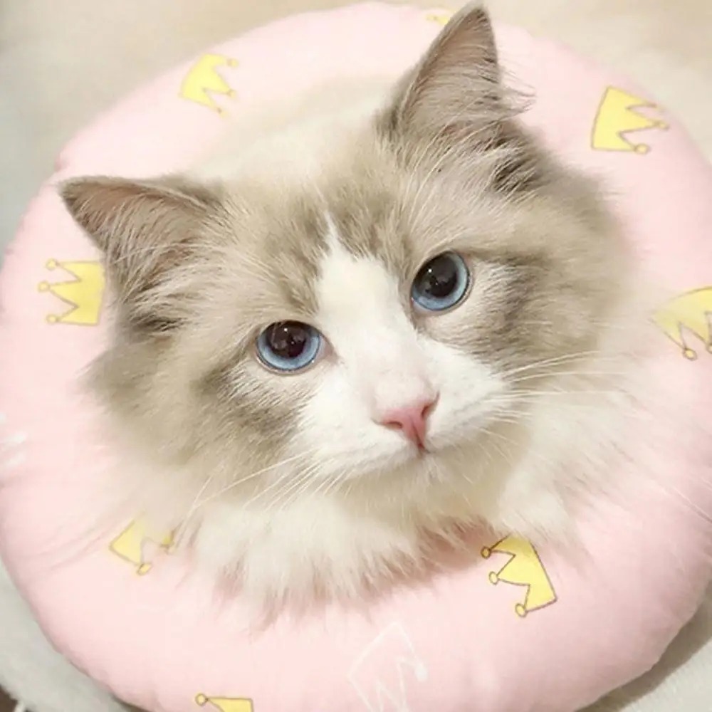 Distinctive Circle Cat Anti-bite Collar Anti-scratch Soft Headgear Dog Pet Sterilization Shame Cotton Ring Cover on - Оригинальный круглый котовый противокусательный ошейник противоцарапающий мягкий головной убор для собак и домашних животных для стерилиз