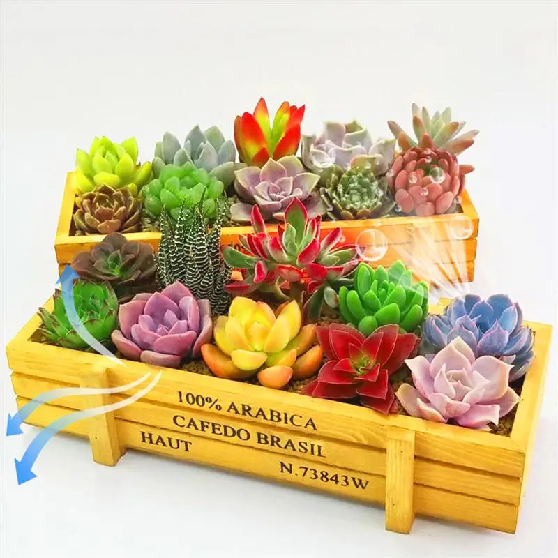 2 Pcs Succulent Storage Tray Planter Cute Flower Pots Bonsai Potted Plate Flowers Containing Box Garden Supplies Craft | Дом и сад