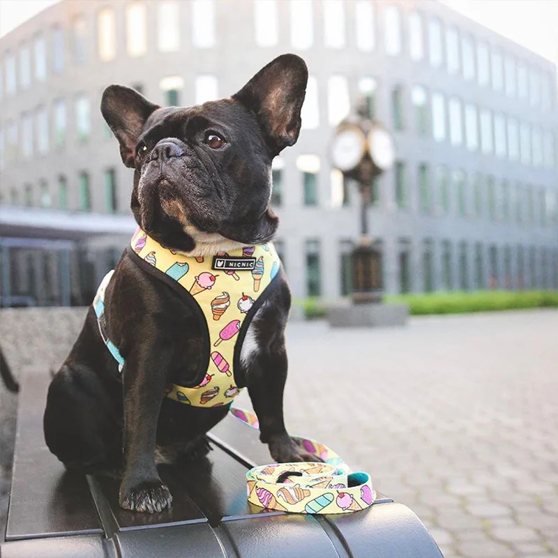 

Pet Harness for French Bulldog Small Medium Dogs Leashes Pug Puppy Frenchie Pet Harness Vest Walking Dog Lead Leash Pet Products