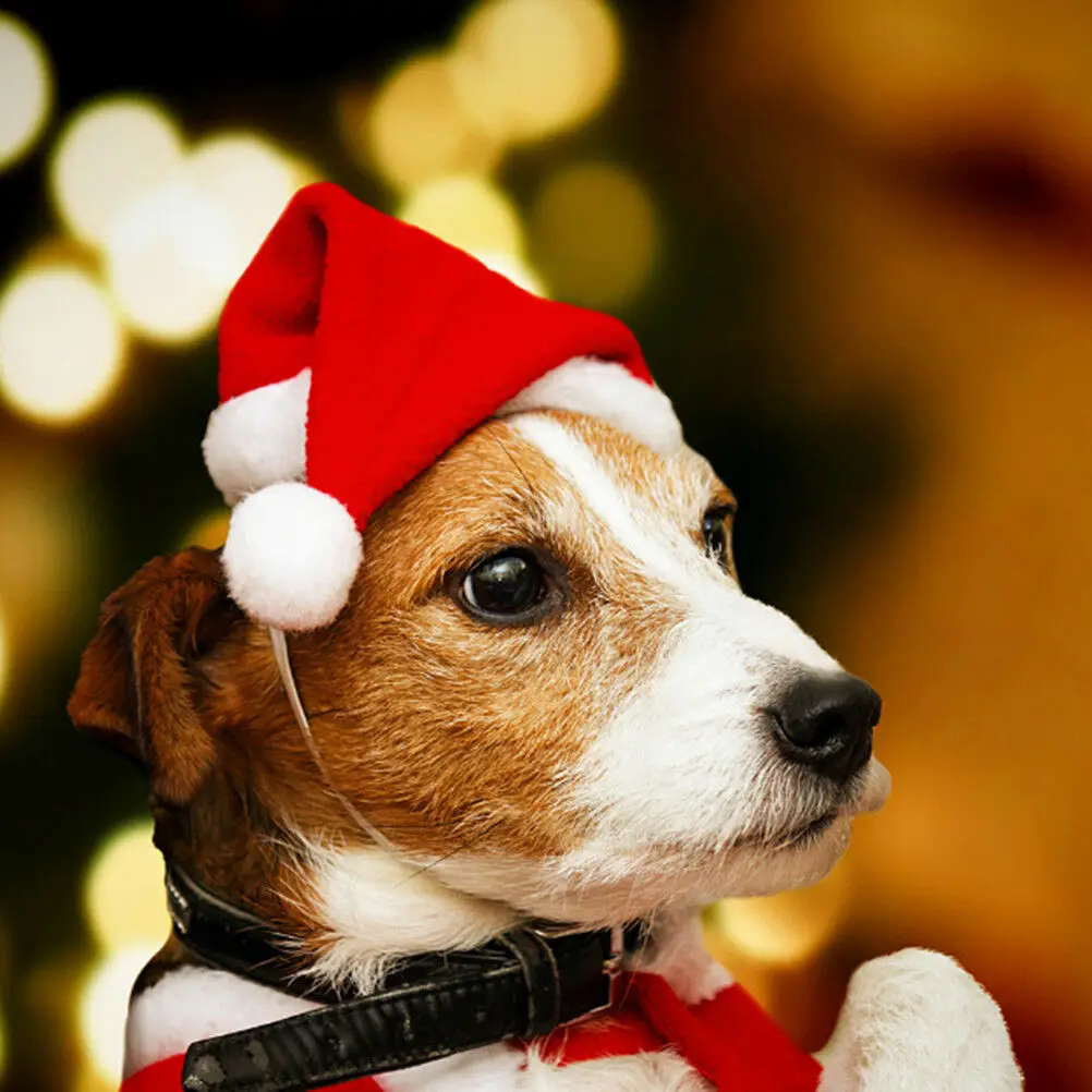 

Christmas pet santa hat small puppy cat dog xmas holiday costume ornaments B Dn