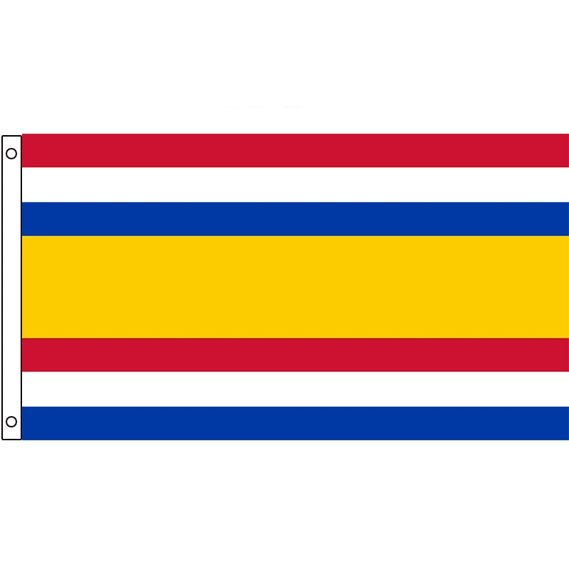 

Tholen Flag Holland Netherlands City 60x90cm 90x150cm Decoration Banner for Home and Garden