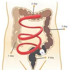 Силиконовый шланг для душа Wetips Klysma Ass, Очищающий душ для унитаза, Очищающий душ, Анальный Душ для биде, душевая клизма