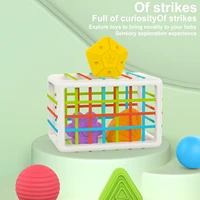 shape sorter toddlers cube sensory sorting baby toy elastic bands box developmental motor skill preschool early learning gift