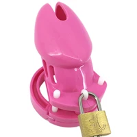 sex toys cb6000 male chastity device cock cage with 5 size rings brass lock locking number tags