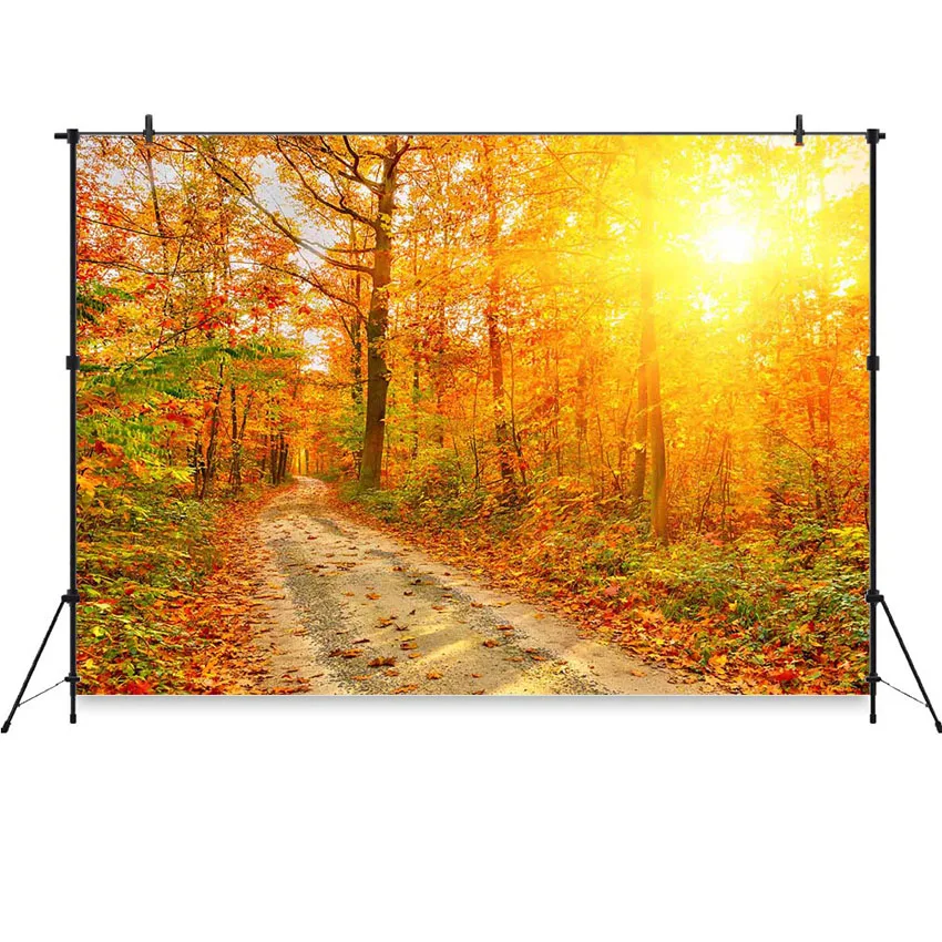 

Mocsicka осенний фотографический фон лес пейзаж Осенний лист дорога баннер украшение фотография фоны для студийных съемок