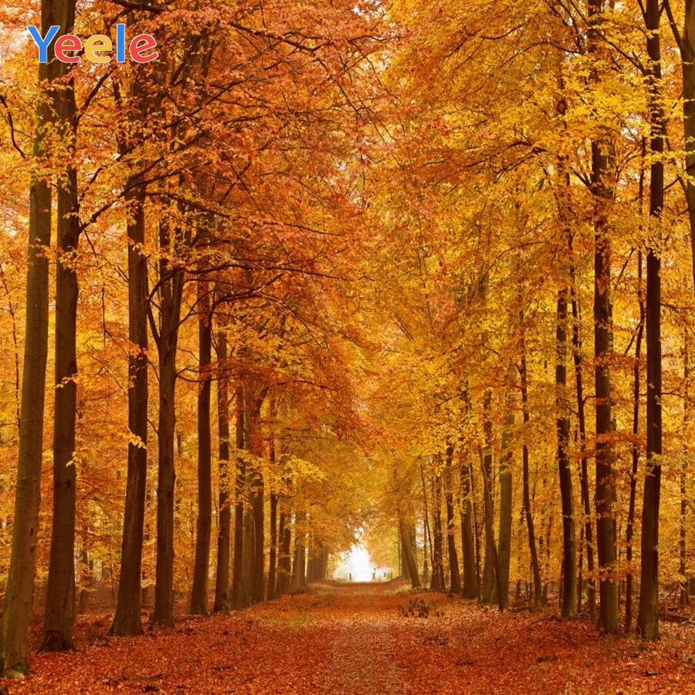 Виниловый фон для студийной фотосъемки новорожденных с изображением осеннего