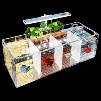 220v creative betta fish tank breeding incubator isolation box water free desktop small acrylic ecological aquarium tank