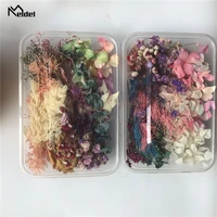 meldel 1 box real dried flower dry plant for aromatherapy candle epoxy resin pendant necklace jewelry making craft diy accessory