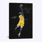 Набор для алмазной вышивки стразы, картина 5D сделай сам с изображением баскетбольного игрока, звезды, Алмазная мозаика