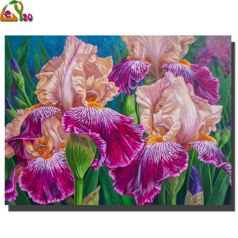 Ирисы краска с Алмазная вышивка цветочным принтом &quot5d diy алмазная живопись