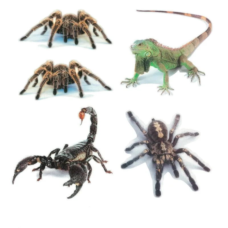 3D Наклейка на стену Виниловая наклейка с животными Пауком гекконом скорпионом