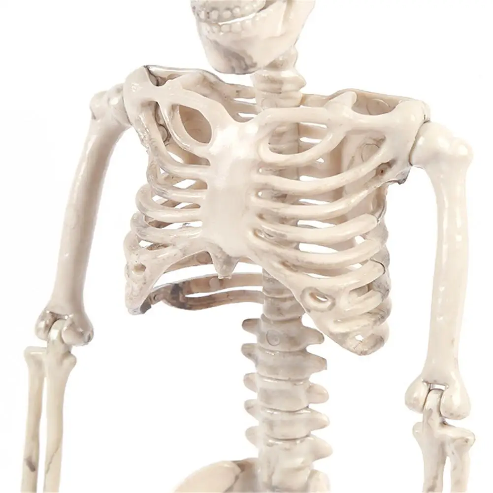 Poseable Skeleton Figure With Movable Joints Haunted House Props For Halloween Party Decoration