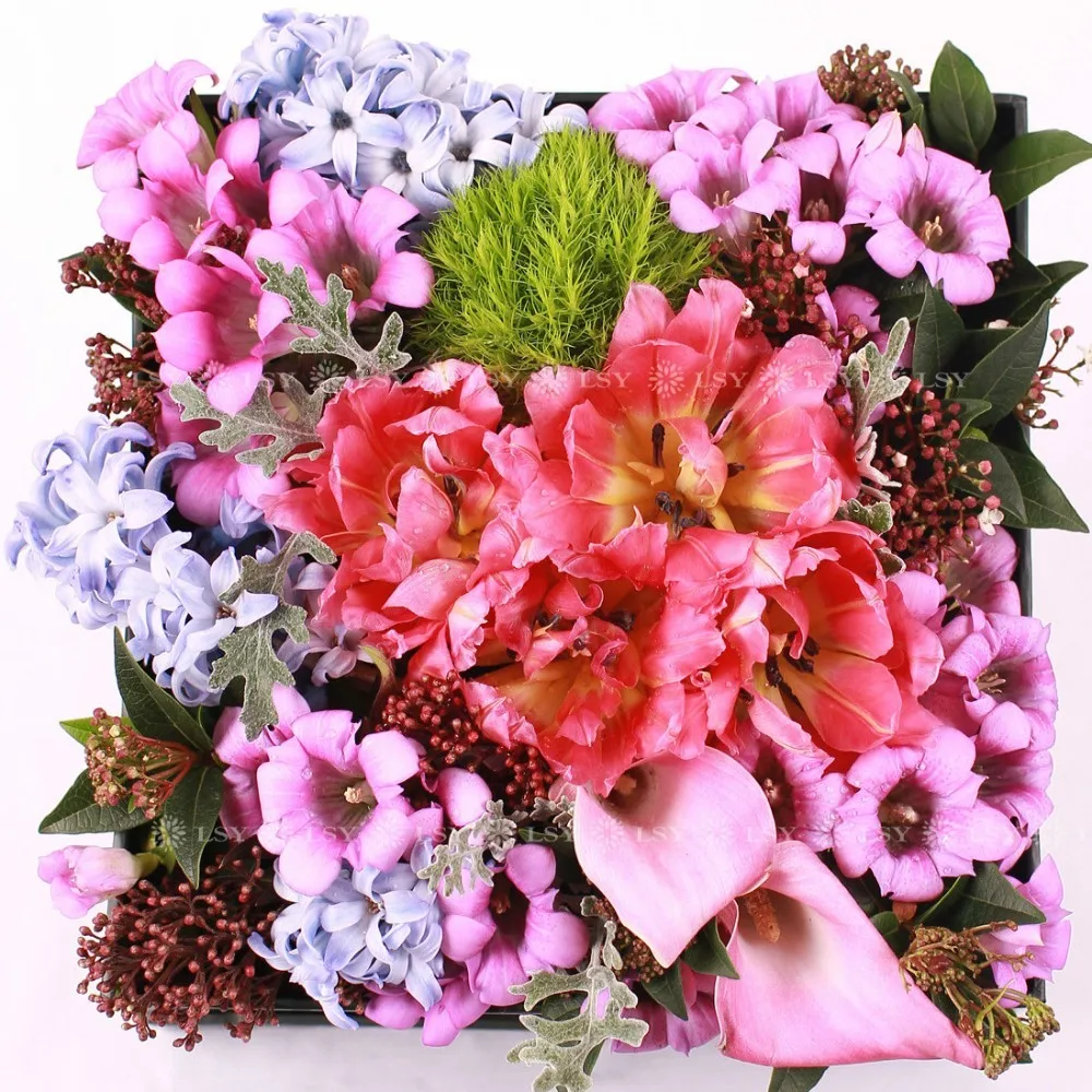 Карбендазим лампы карбендазим 1 шт. растения бонсай для лечения роста