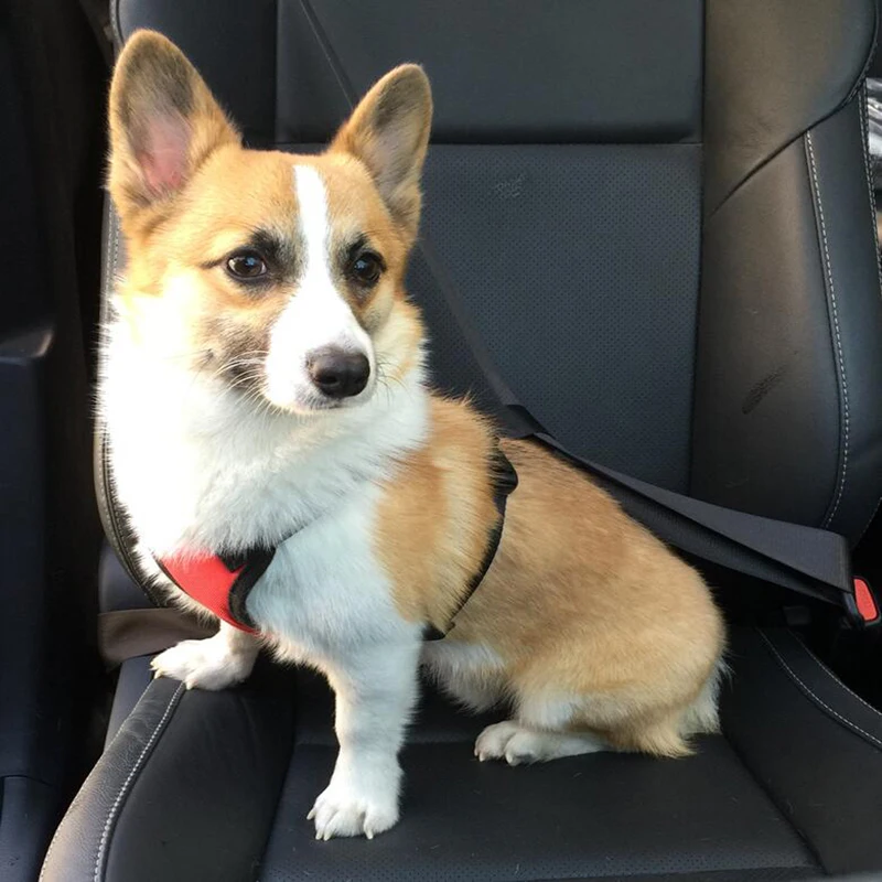 

TAILUP Breathable Small Dog Harness Vest With Seat Belt Adjustable No Pull Dog Harness for Puppy Dog Harnesses and Leash Set