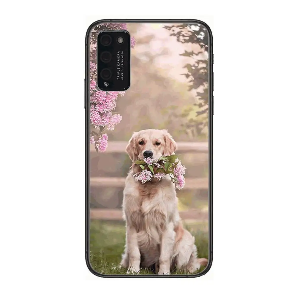 

Teddy Bulldog Pomeranian Corgi Golden dog Cool Clear Phone Case For Huawei Honor 10 20 30 9 X Pro Lite V 5G RU Black Etui Coqu